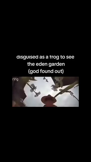 Me going back in time disguised as a frog to see the garden of Eden