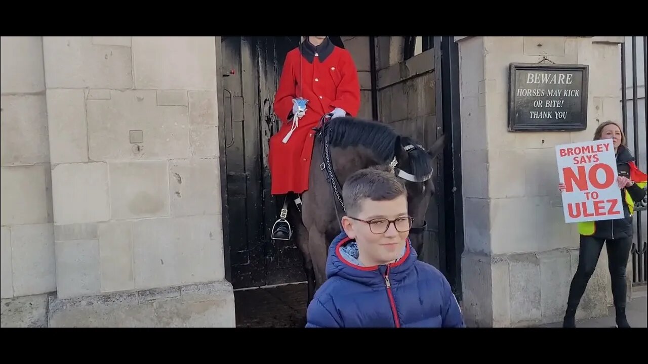 No to ulez the kings guard tells protester no political signs #horseguardsparade