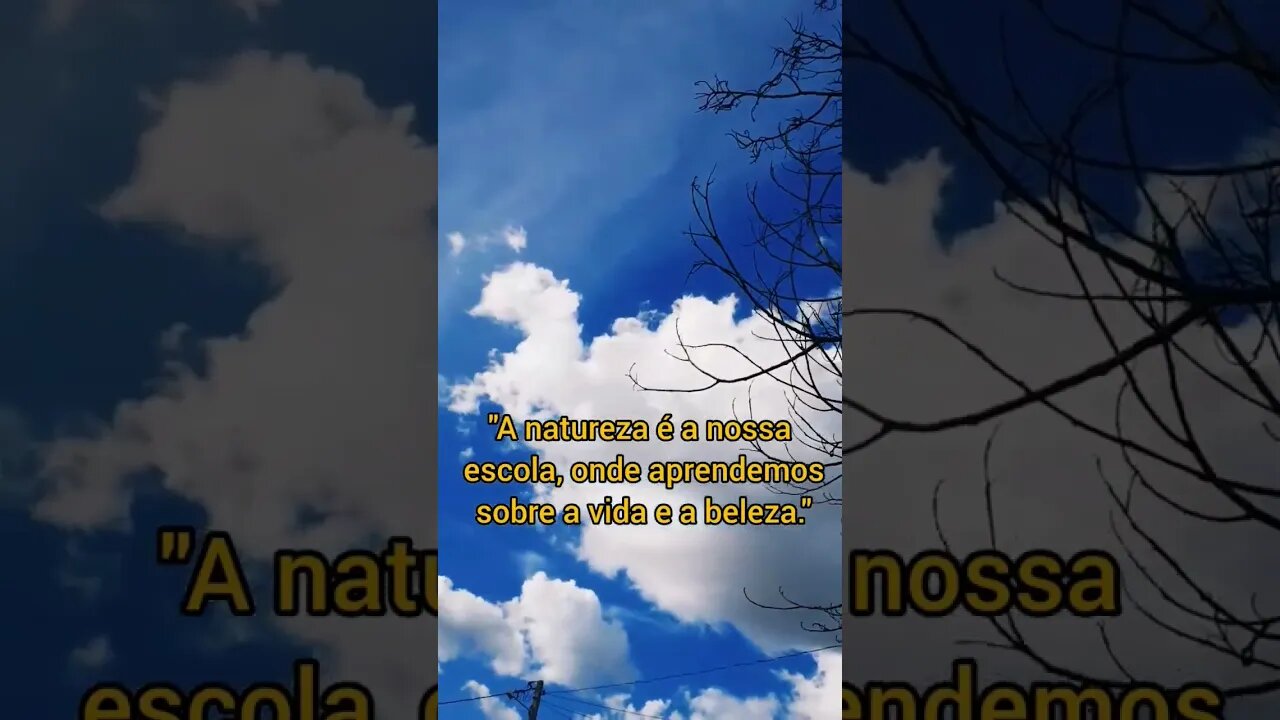 A natureza é a nossa escola, onde aprendemos sobre a vida e a beleza."