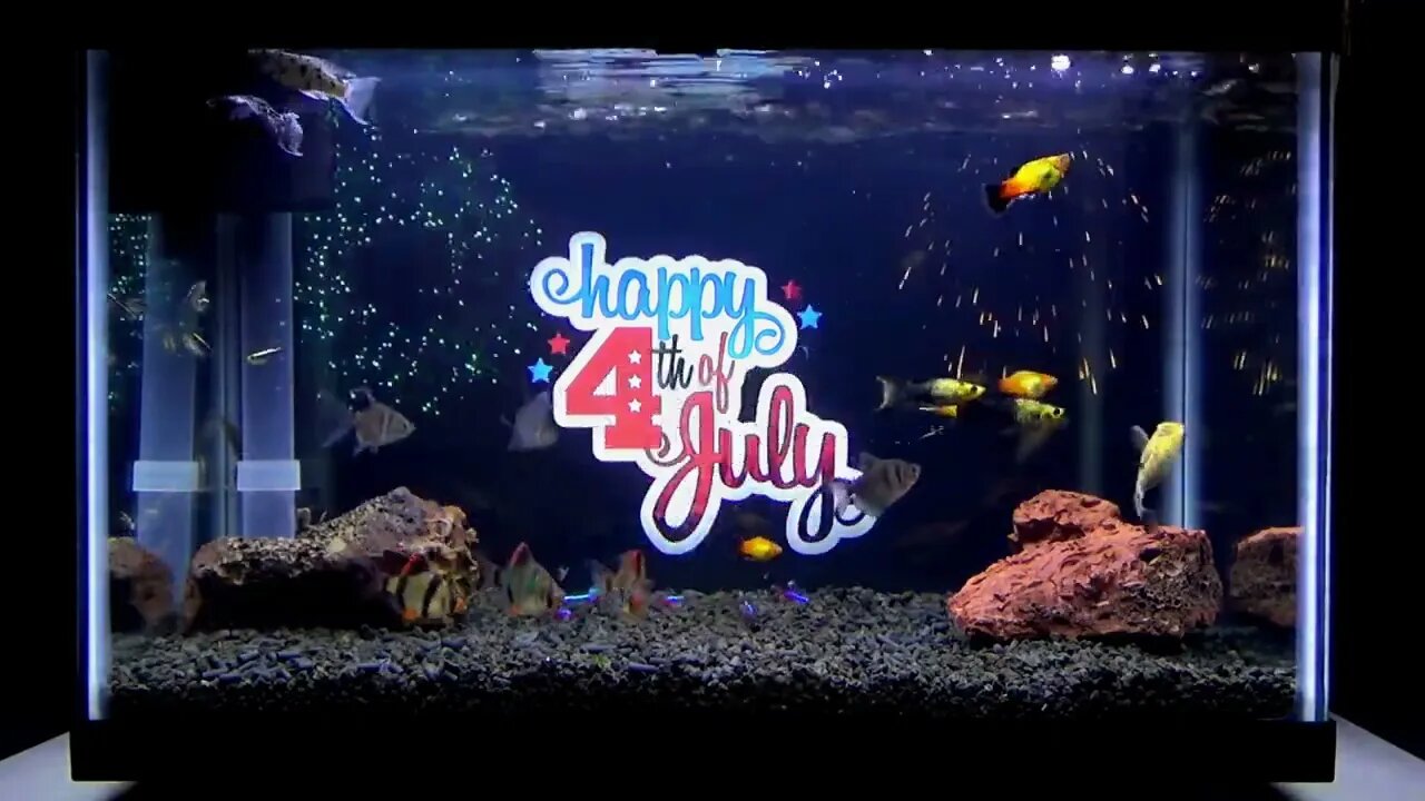 4th of July Shorts 1:28 minutes