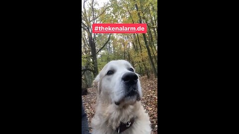 KALIFAT DEUTSCHLAND