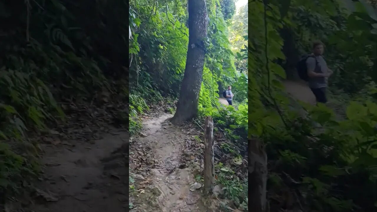 Kuang Si Waterfall Luang Prabang Laos 🇱🇦 #laos #Waterfall #shorts #luangprabang