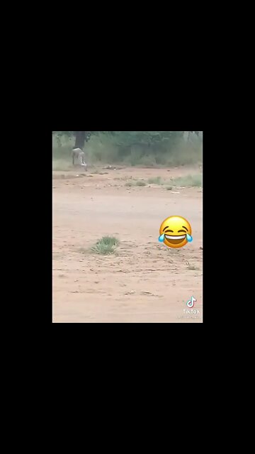the luckiest people in the world 🤣😂try not to laugh 😭🤣