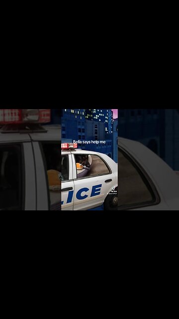 BellaBear says help #dog #bella #doglover #funny #cute#pets