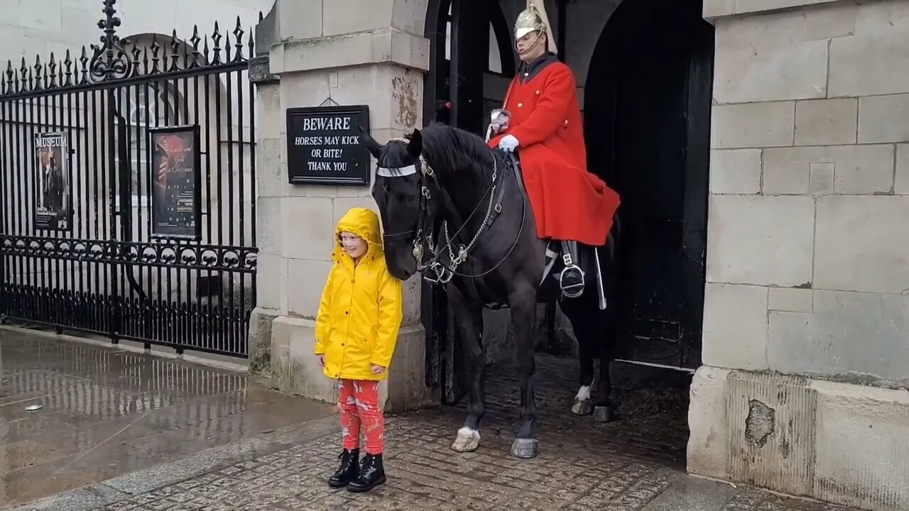 Horse sees a kid in yellow a rain coat turns in to pennywise 😆 🤣 😂 #horseguardsparade