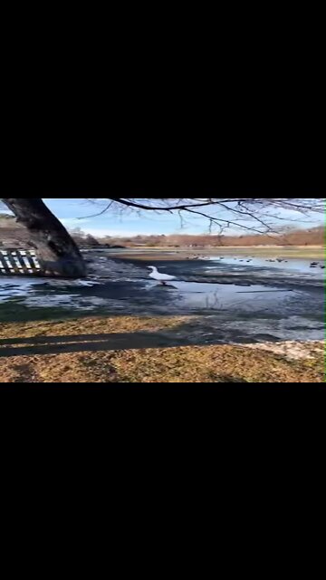 Drain Childrens Lake