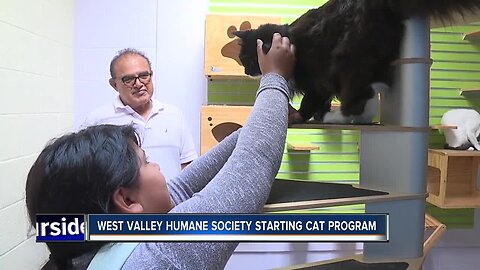 West Valley Humane Society launches community cat program