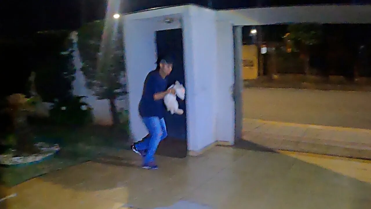 ASSALTANTE LEVOU BICHO DE ESTIMAÇÃO DA MINHA CASA