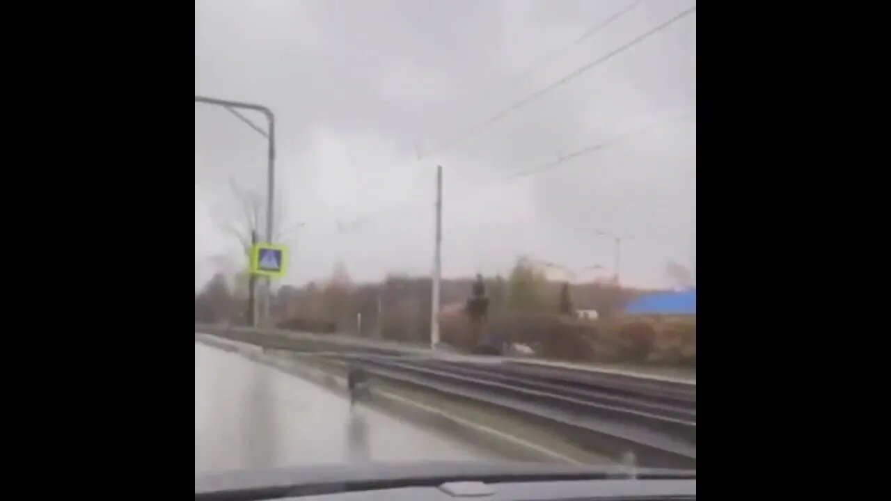 Runaway K-9 tackles person