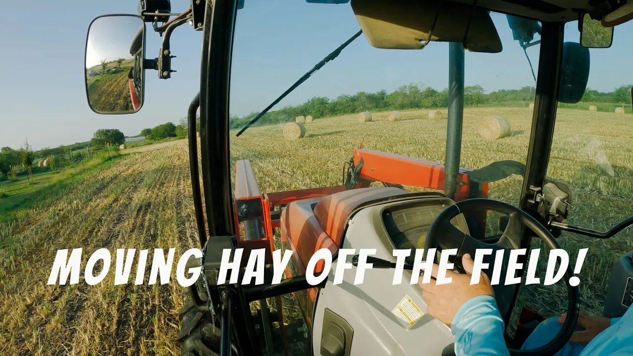 Moving Sorghum Sudan Hay From the Field!