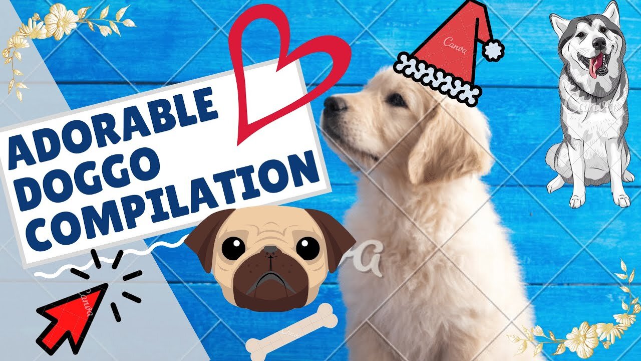 YOU WILL REGRET IF YOU MISS WATCHING THIS Cute Dogs Compilation (Part 1 of 2) (Adorable Pets)
