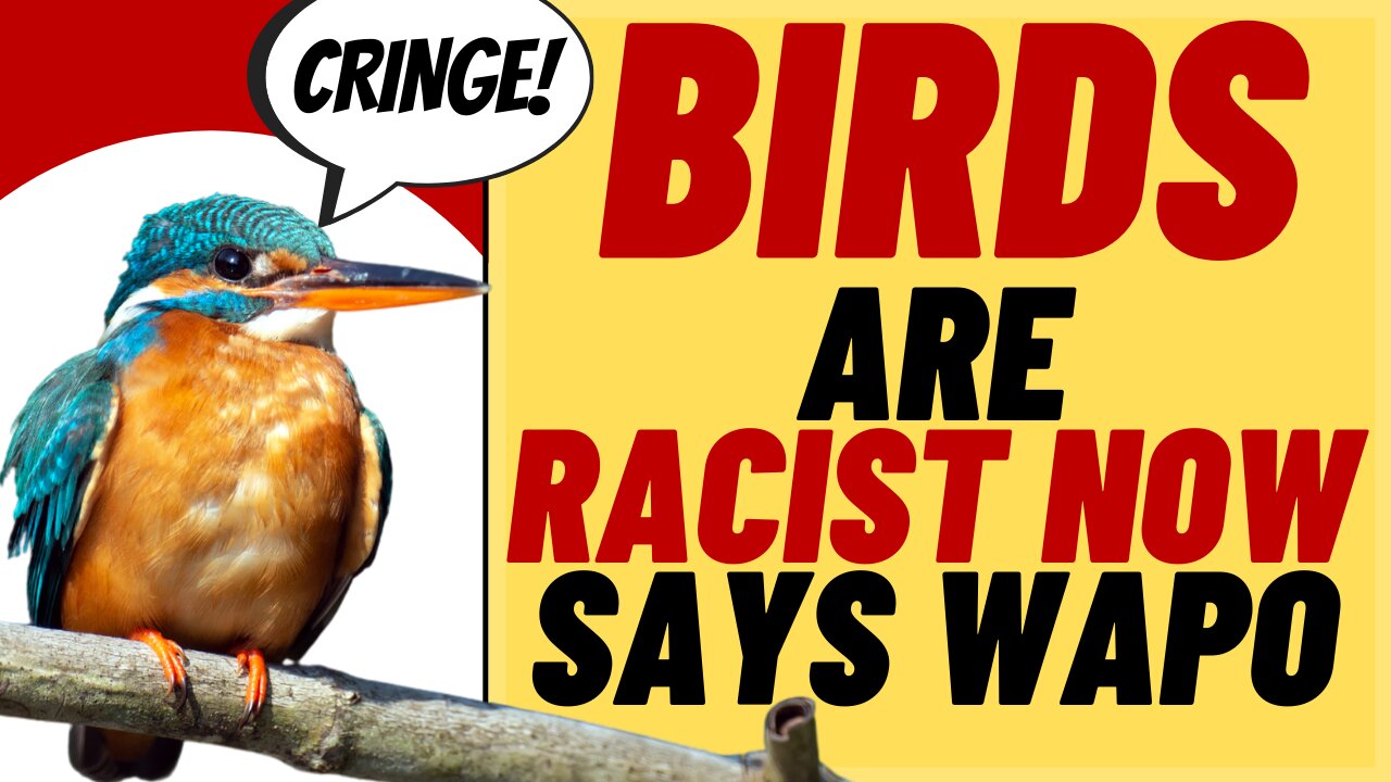 BIRDS ARE RACIST Now, According To The Washington Post