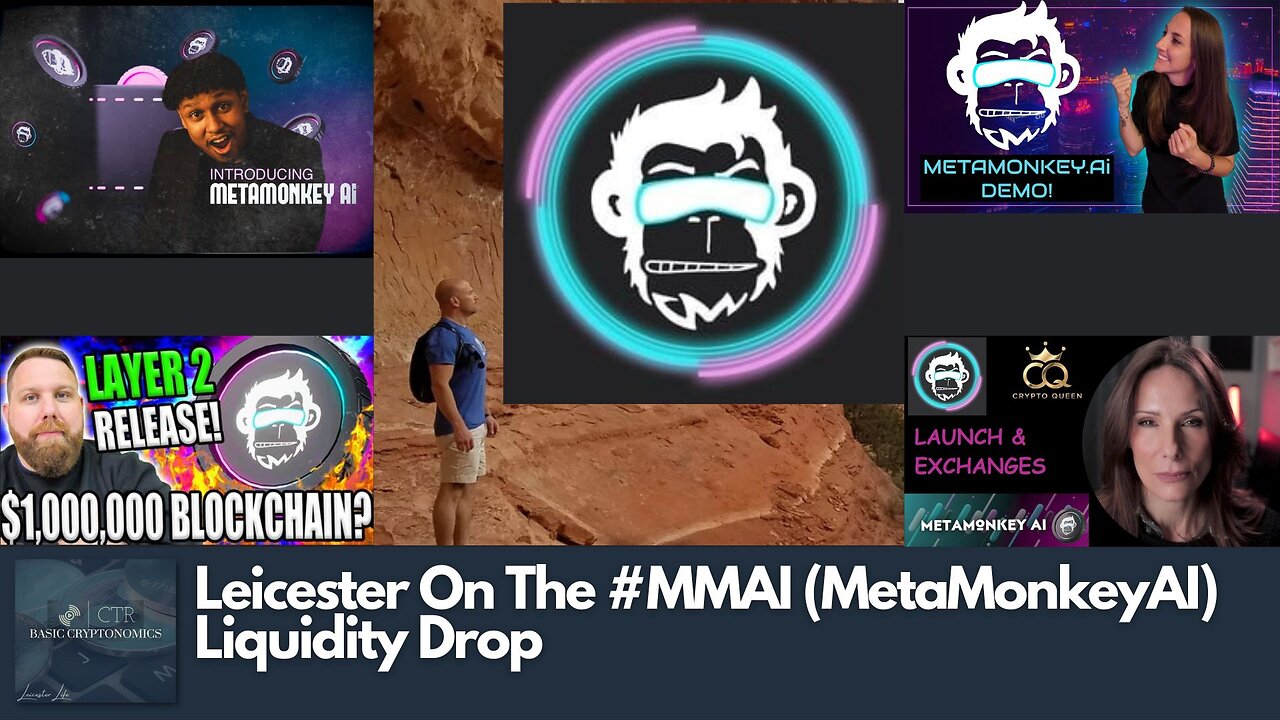Leicester On The #MMAI (MetaMonkeyAI) Liquidity Drop