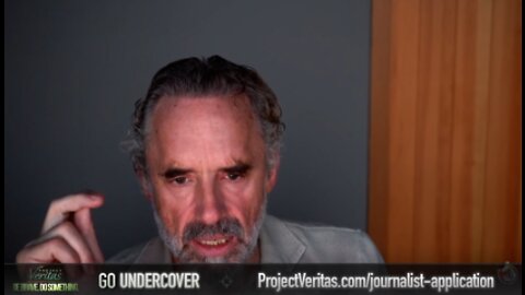 Andy Ngo to Jordan Peterson: "I am very supportive of the work they[Project Veritas] do."