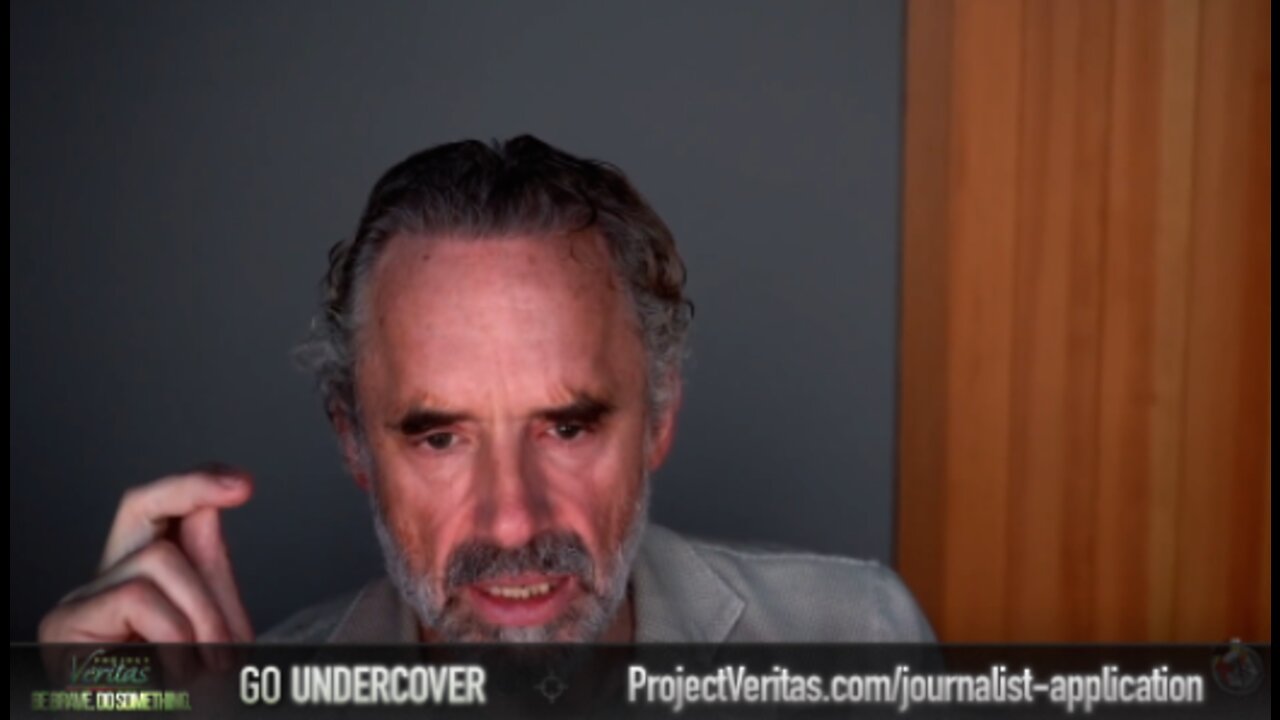 Andy Ngo to Jordan Peterson: "I am very supportive of the work they[Project Veritas] do."