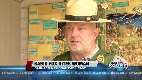 Fox bites bicyclist at Saguaro National Park