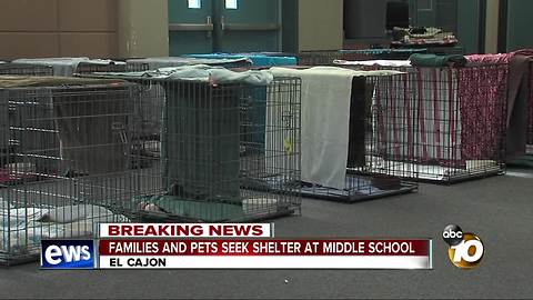 Families and pets seek shelter at middle school