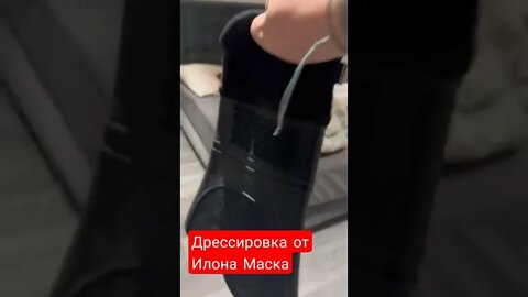 Приколы от Илона Маска #shorts #tiktok #чудикиизсоцсетей #чудикитиктока #приколы#юмор