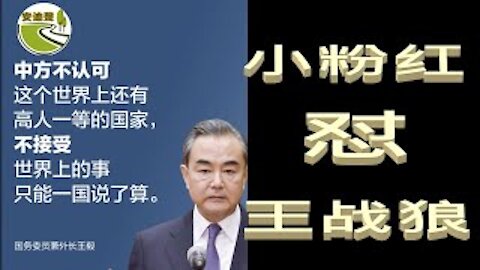 小粉红怼王战狼.日本中国不一样.香港自由被剥夺.台湾安危悬一线【040421第662期】