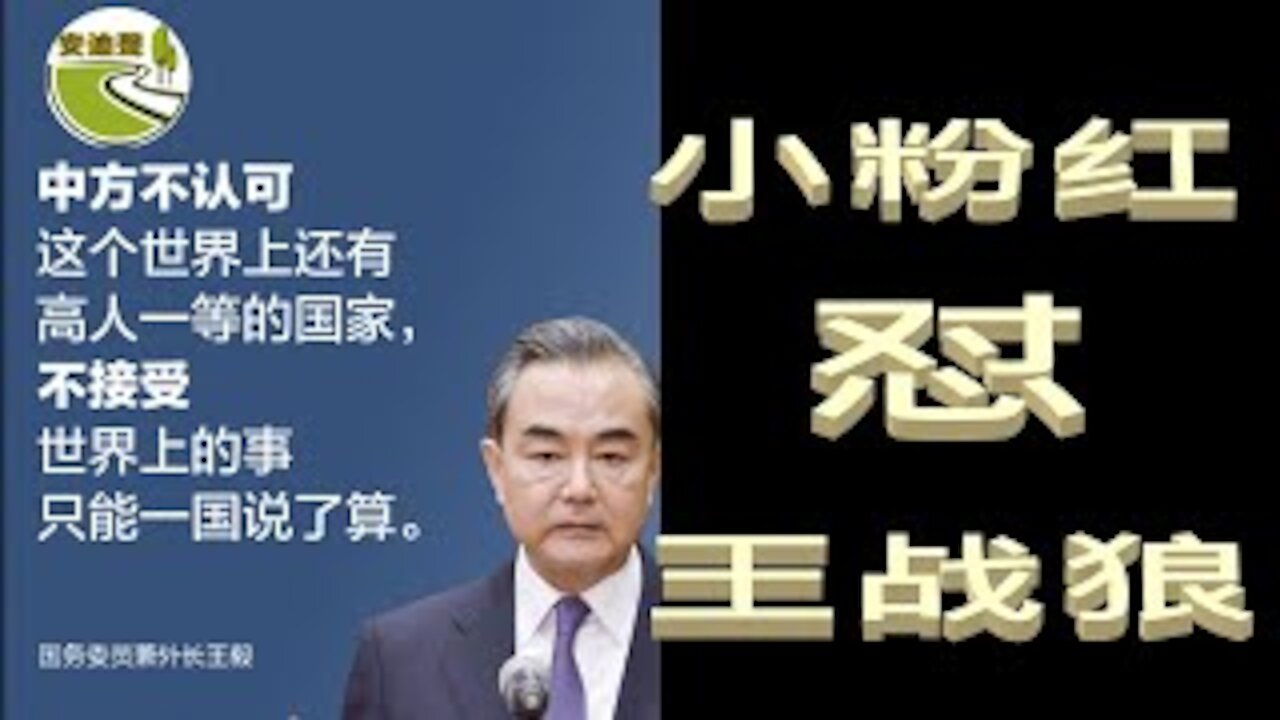 小粉红怼王战狼.日本中国不一样.香港自由被剥夺.台湾安危悬一线【040421第662期】