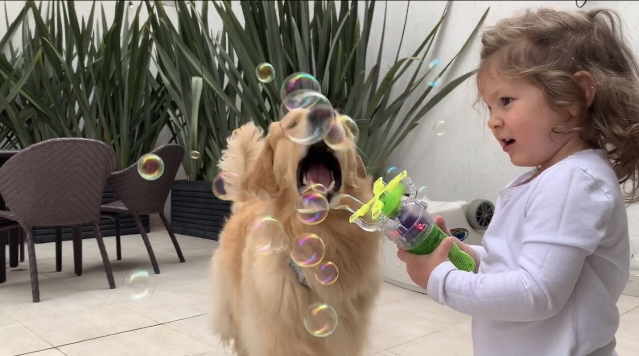 Little Girl Preciously Blows Bubbles For Doggy To Catch