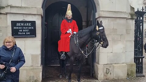 The horse chages it's mind about biting #horseguardsparade