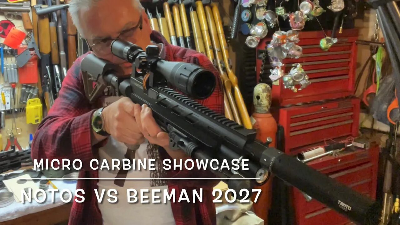 Micro carbine showcase, Umarex Notos and Beeman 2027 Buck Rail builds so nice!