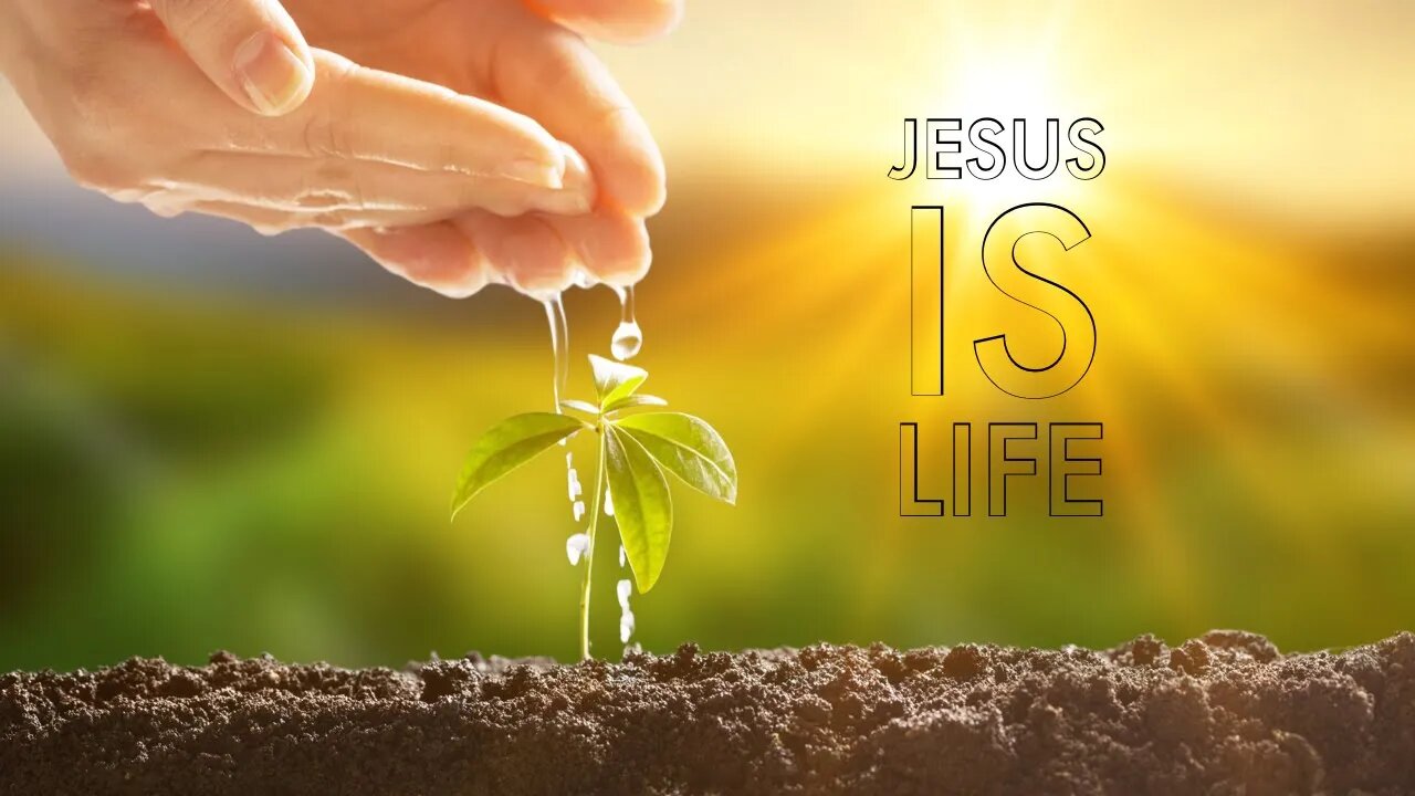 Jesus is Life (audio fixed)