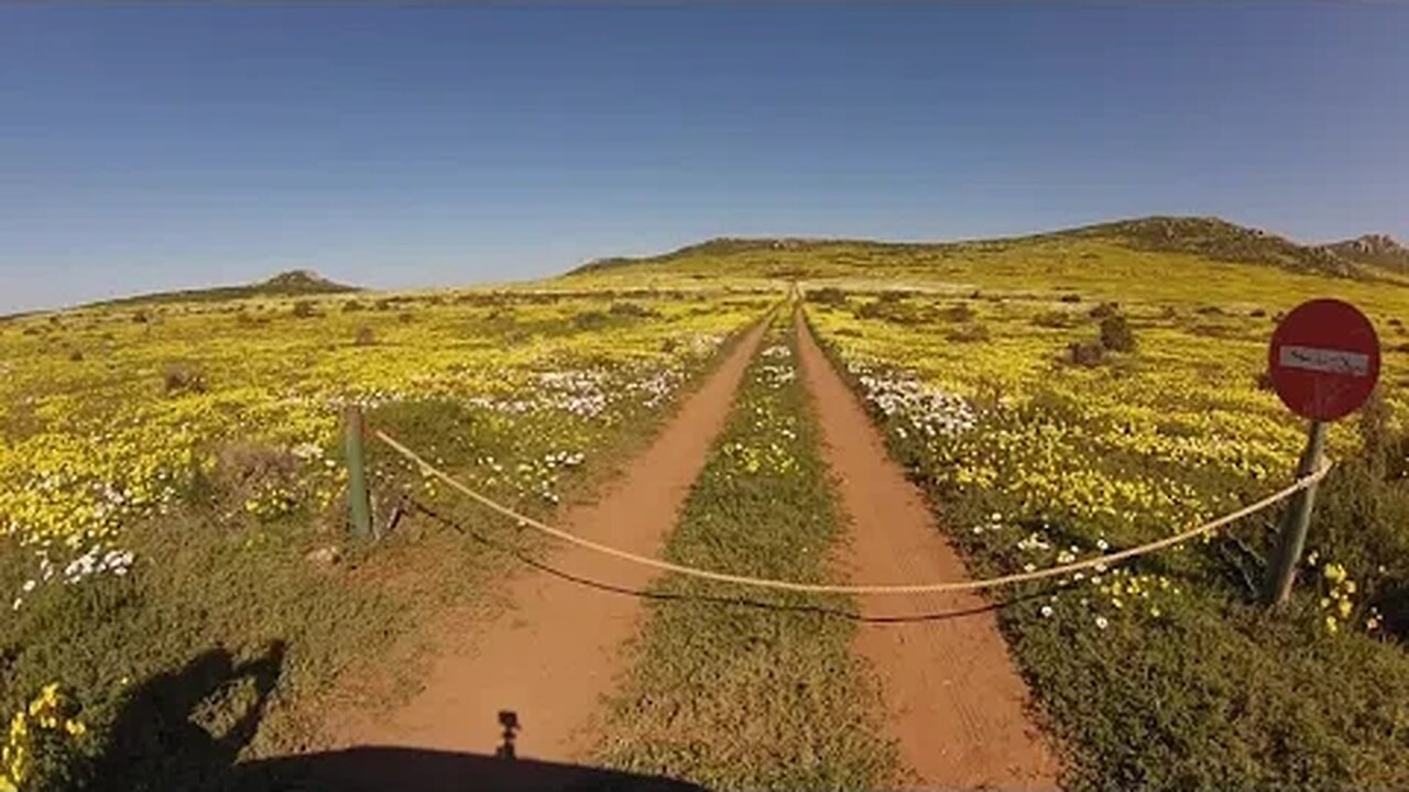 Postberg Flower Tour @ West Coast National Park