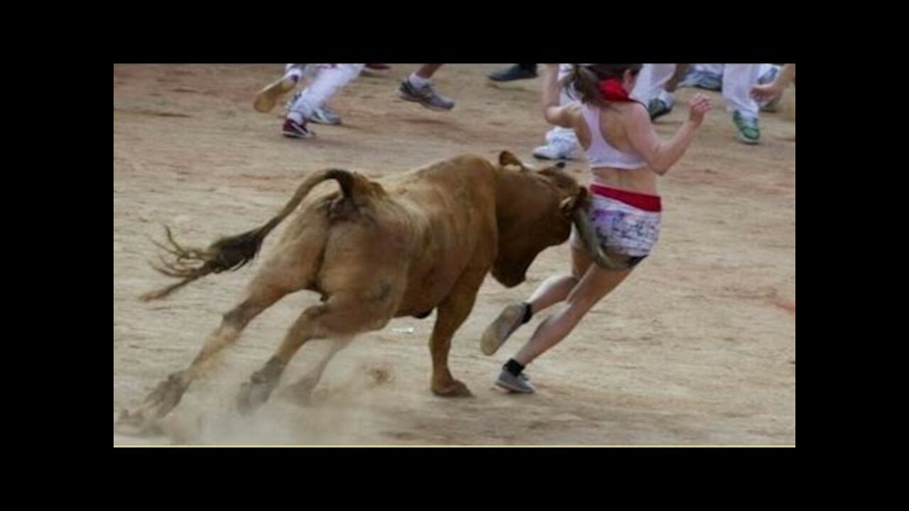 The Funniest Bullfighting Moments