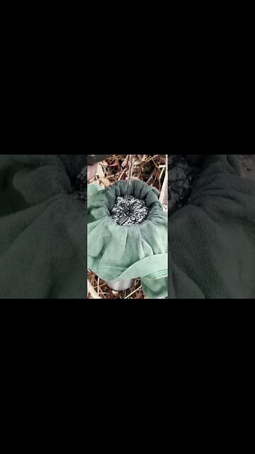 Filtering Water with Charcoal