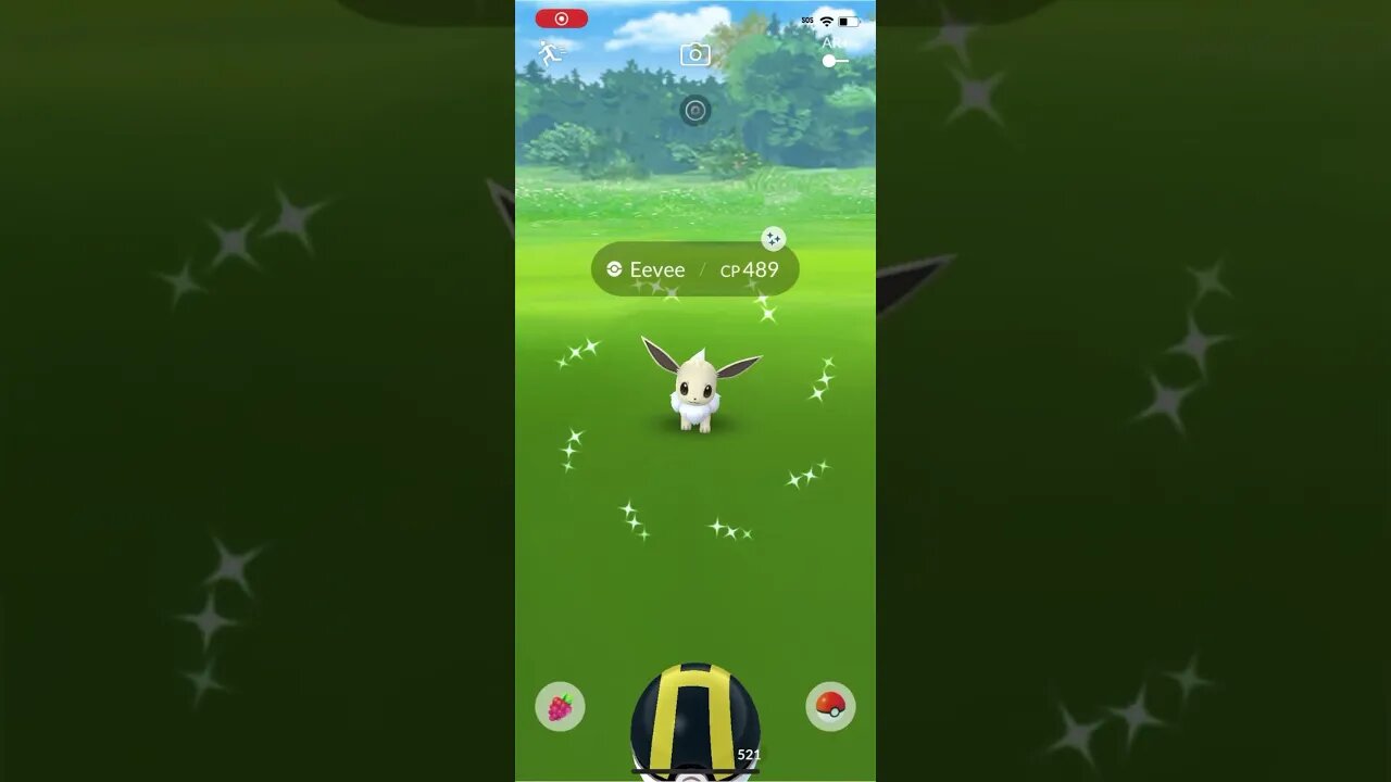 Shiny Compilation