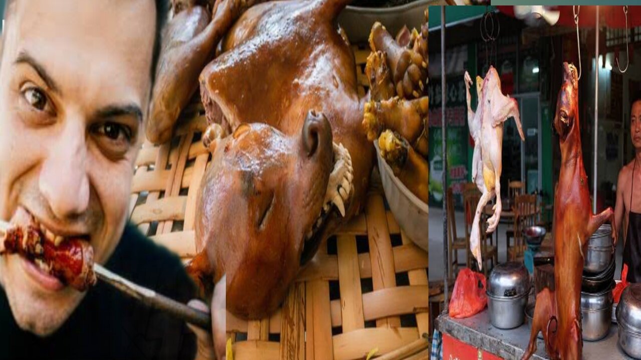 The most disgusting food