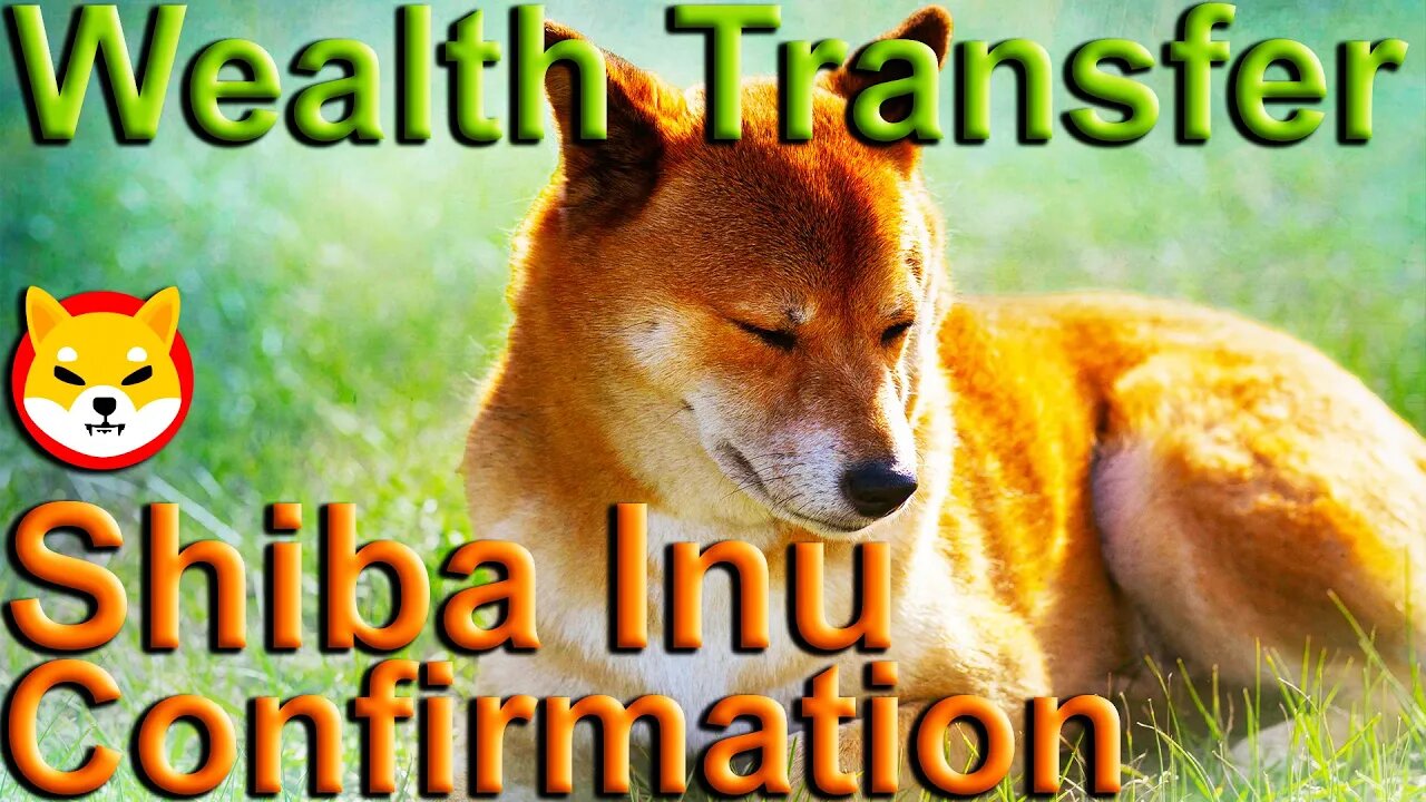 Shiba Inu Confirmation 🦊 Wealth Transfer 🦊 $SHIB 🦊 #SHIB 🦊 #ShibaInu