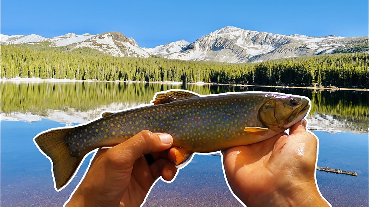 Catching Big Beautiful Colorado Brook Trout in Icy Cold Crystal Clear Water!