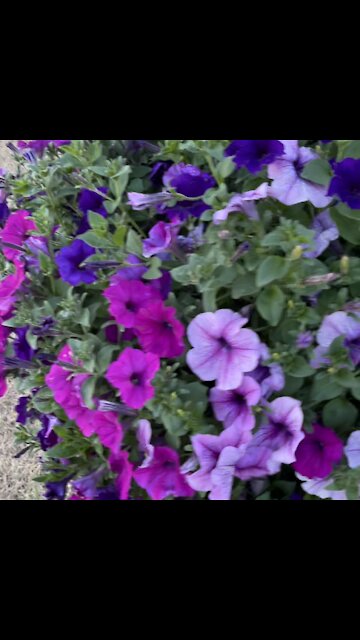 Delicate touches in a wonderful country