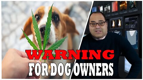 Dogs Being Poisoned by Cannabis in NYC