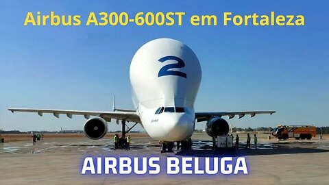 Airbus A300-600ST (Super Transporter) Beluga em Fortaleza, CE #avião #aviação #airbus #plane