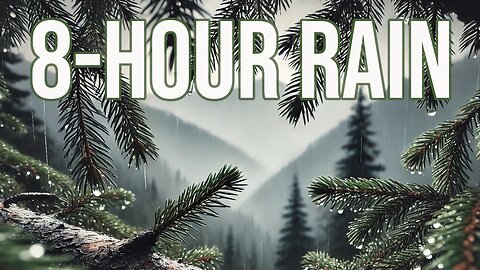 8 Hours of Gentle Rain Sounds | Ultimate Relaxation, Focus, and Sleep Ambience