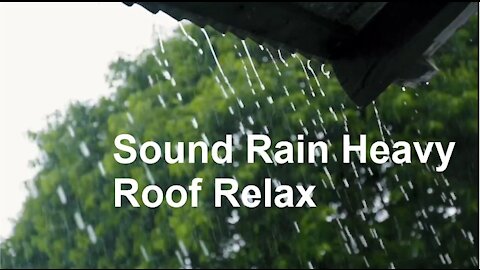 Sound Rain Heavy Roof Relax