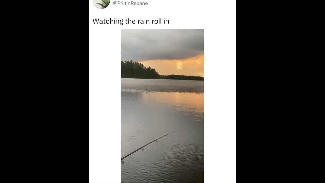 Watching the rain roll in looks like fishes