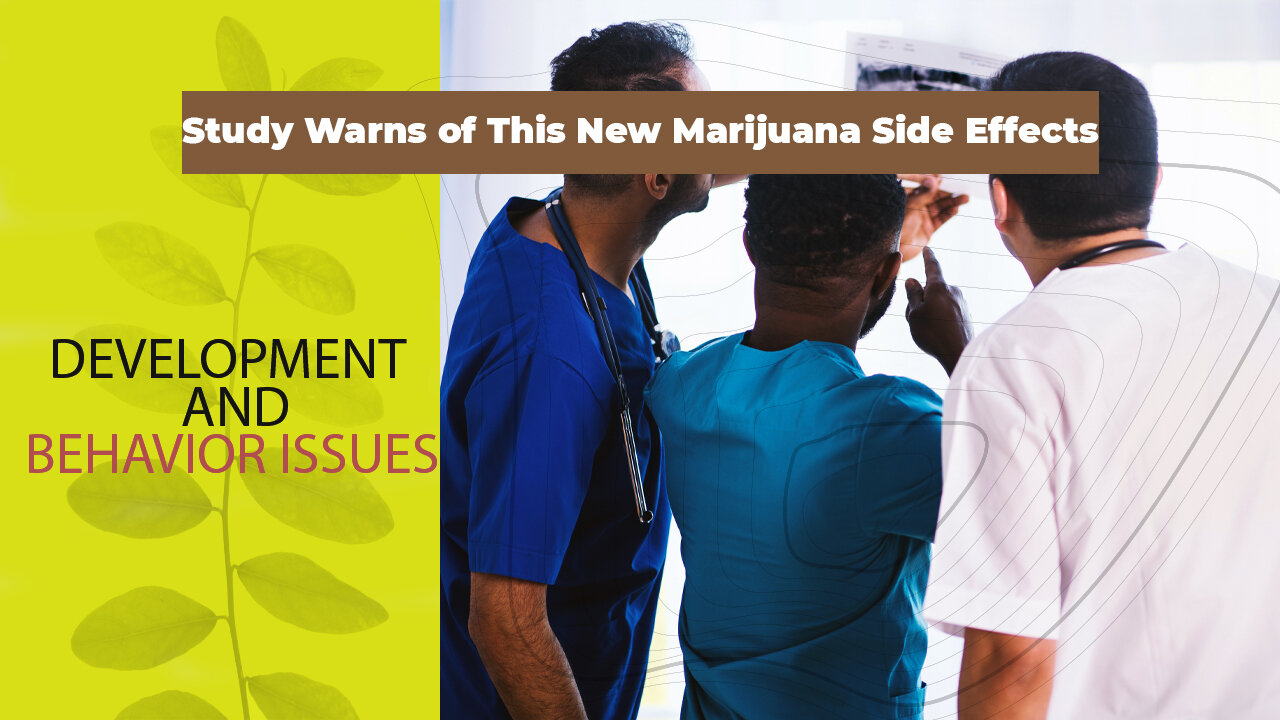 Reh Dogg's Random Thoughts - Development & Behavior Issues from Marijuana