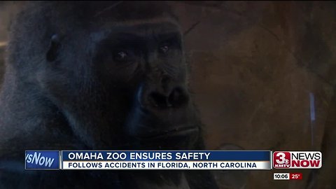 Omaha zoo ensures safety at Henry Doorly following accidents in North Carolina, Florida
