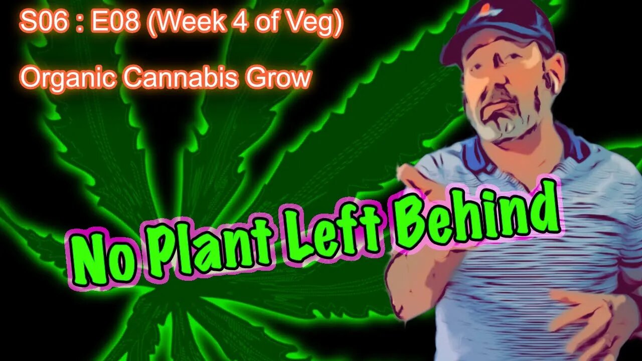 S06 E08 - Organic Cannabis Grow (Day #50) Week 4 of Veg || Caring for a Runt || BlueMat Soil Meter