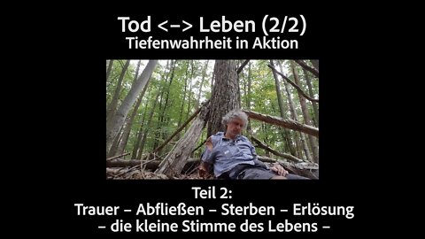 Tiefenwahrheit in Aktion Teil 3: Tod/Leben (2/2). Endlose Traurigkeit