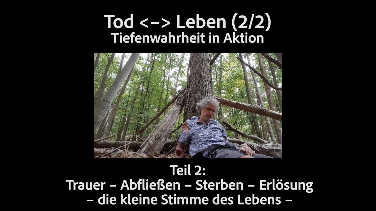 Tiefenwahrheit in Aktion Teil 3: Tod/Leben (2/2). Endlose Traurigkeit