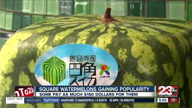 Square watermelons? Some are selling for $150!