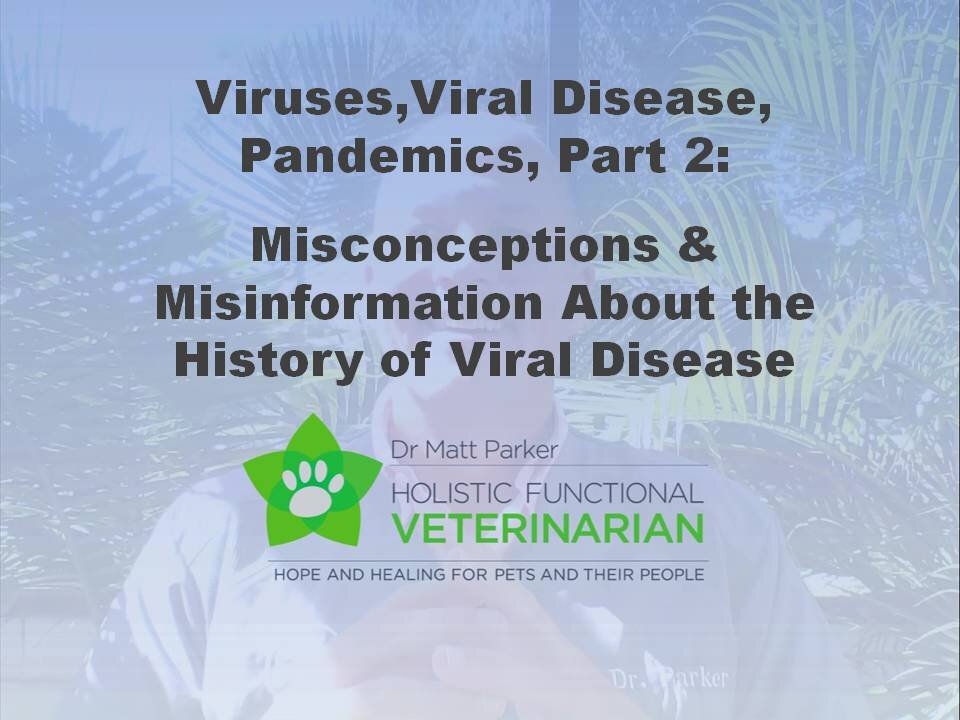 Misconceptions & Misinformation about the History of Viral Disease (Viruses, Part 2: EMF)