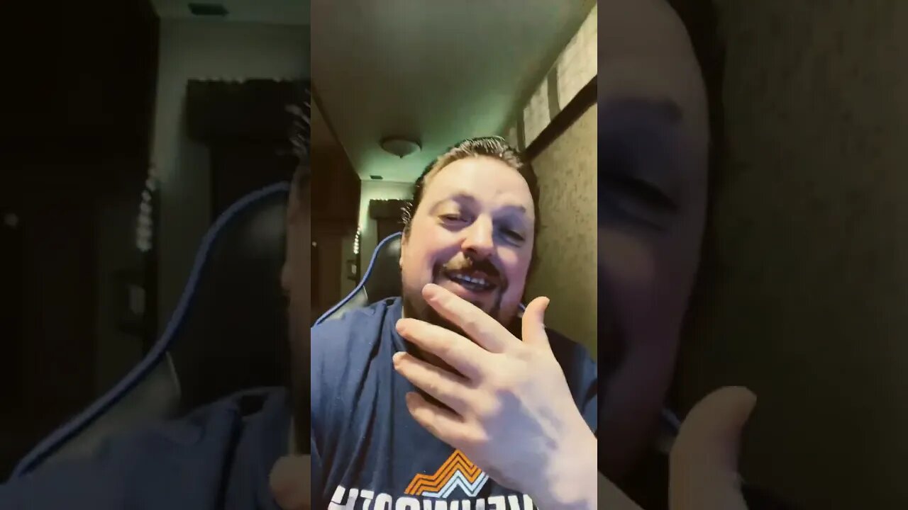 Why Are These Cats Fighting? 🤣