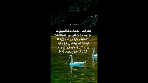 Surah Al Baqarah 25 to 26